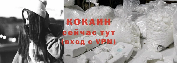 дурь Магас