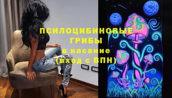 дурь Магас