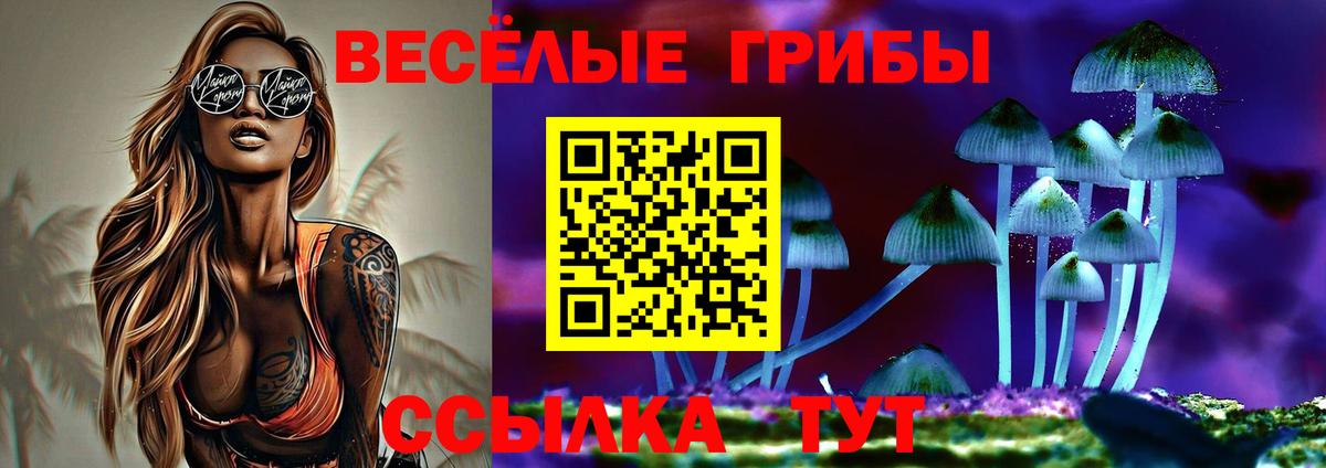 Псилоцибиновые грибы MAGIC MUSHROOMS  что такое   Назрань  Вход с VPN 